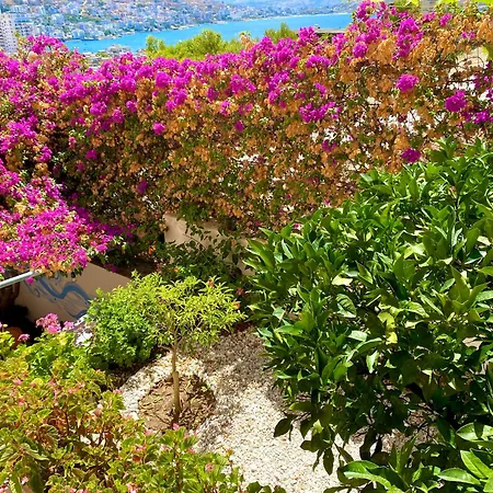 Apartament Klajdi Saranda