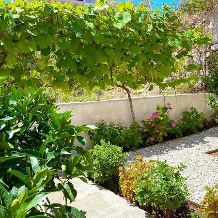 Apartament Klajdi